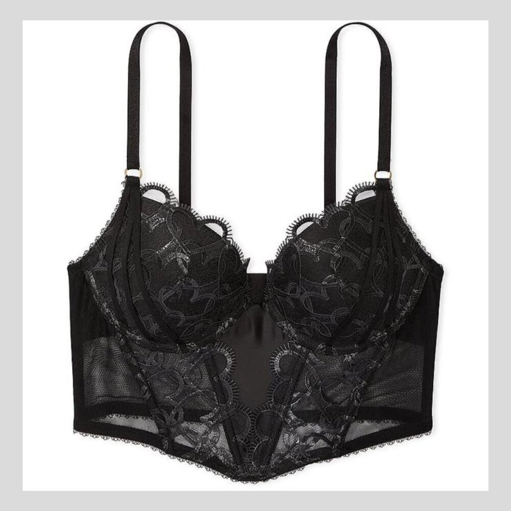 New! Victoria's Secret Shimmer Heart Embroidery Push-Up Corset Top 22982